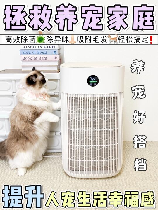 养猫之后，我才知道猫毛能有多难缠…
