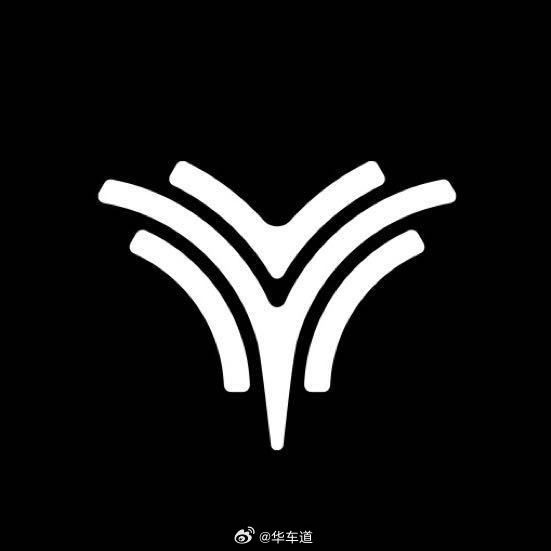 张雪称5亿设计logo害死哪吒华聊车事 一个LOGO能花5亿，一般人和不是一般人