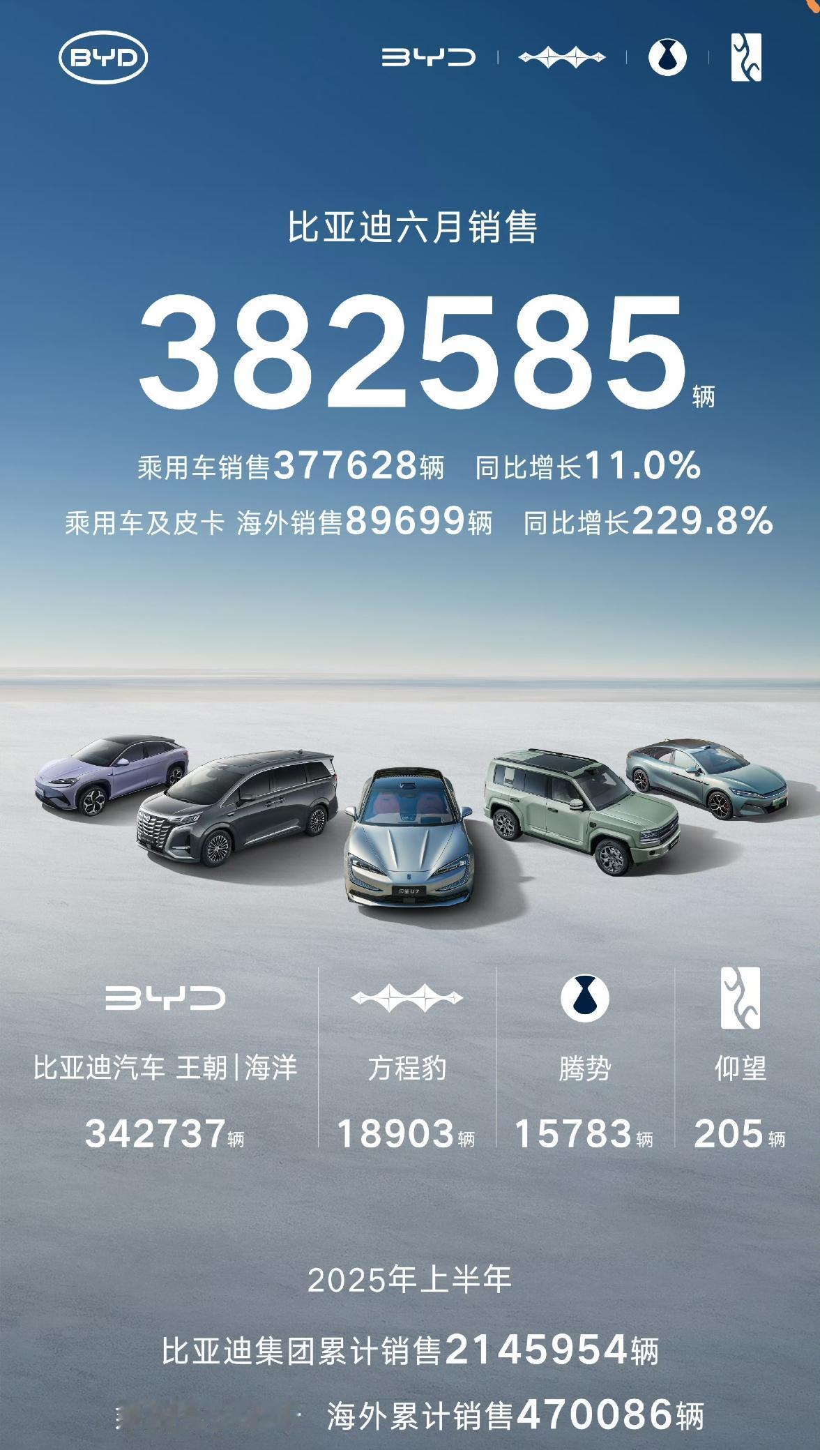比亚迪6月销售382585辆，显然整体销量还有上升空间，6月同比增长12%。另外