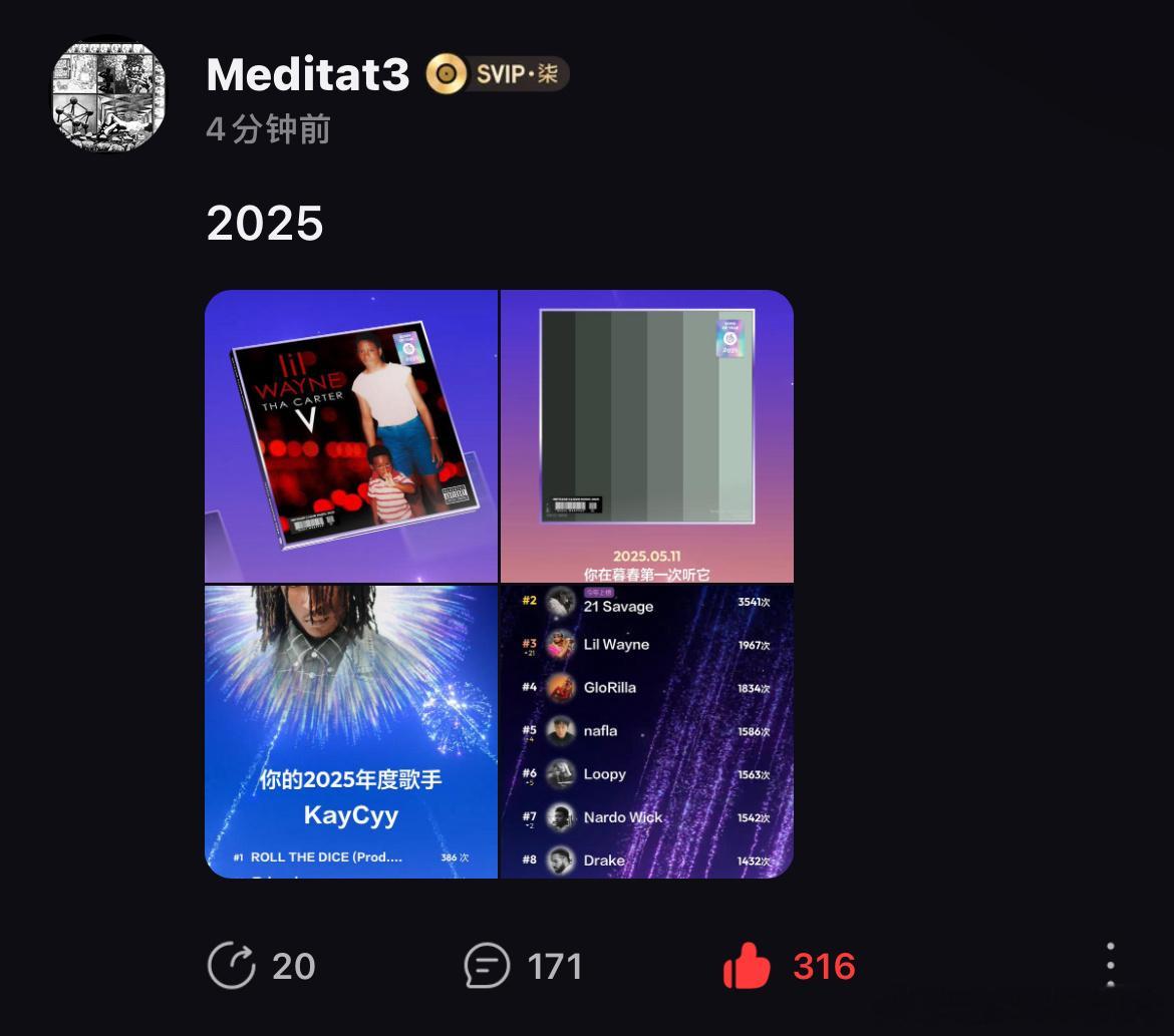 2025wyy年度报告  专栏 · D