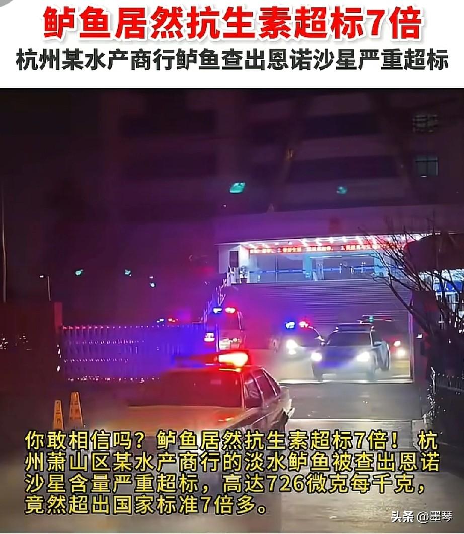 年年3.15都在揭穿鲈鱼，可年年存在问题，归根结底还是犯罪成本太低了，才会让这些