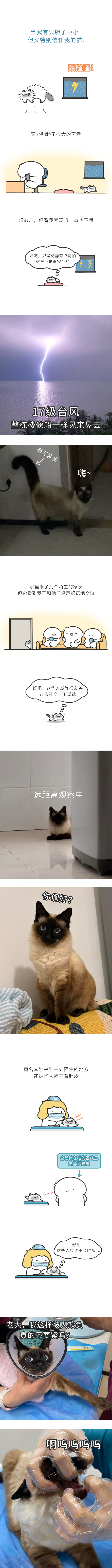 这种信任感谁懂。 