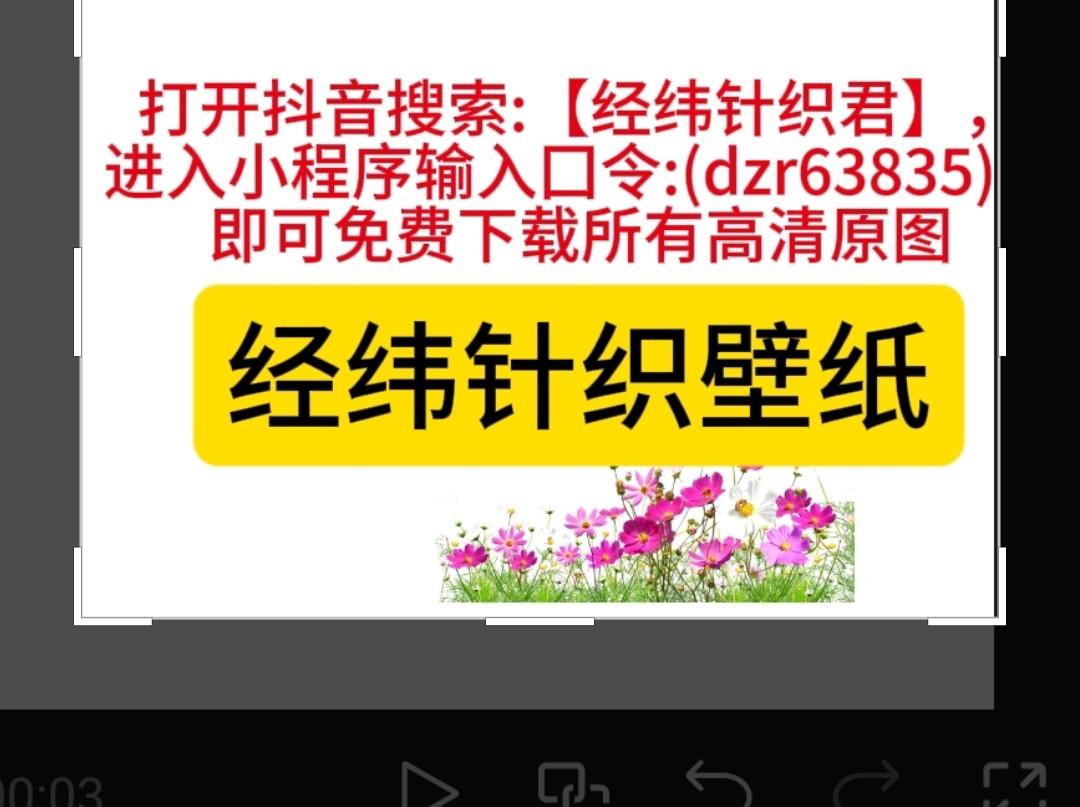 快来看看我新换的主页背景吧