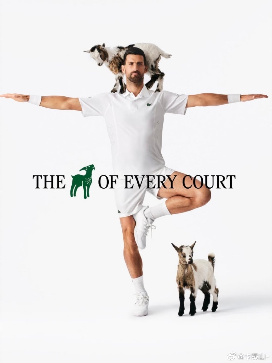 吴易昺要打德约科维奇 温网首轮真的会抽签！温网2026ATP吴易昺vs德约科维奇