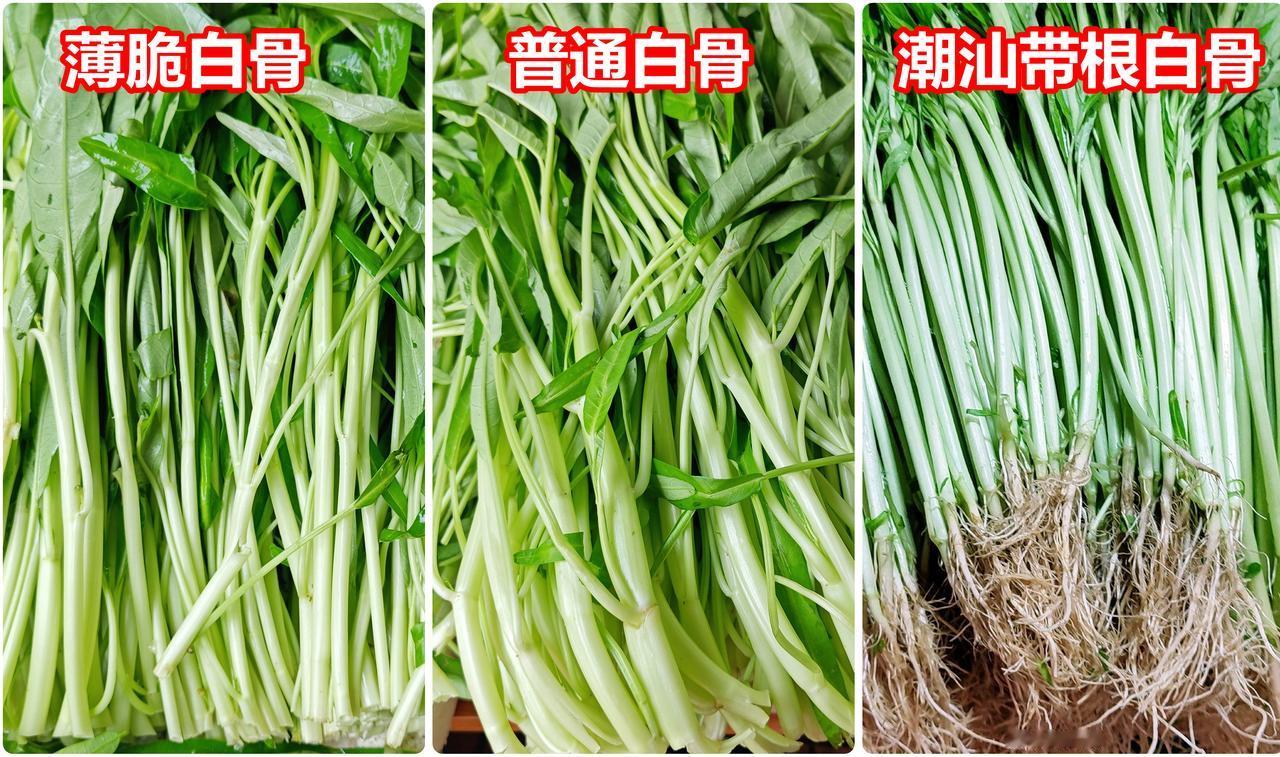 最爱薄脆白骨空心菜，3元一斤

1、薄脆白骨空心菜（图1），3元一斤，我的最爱，