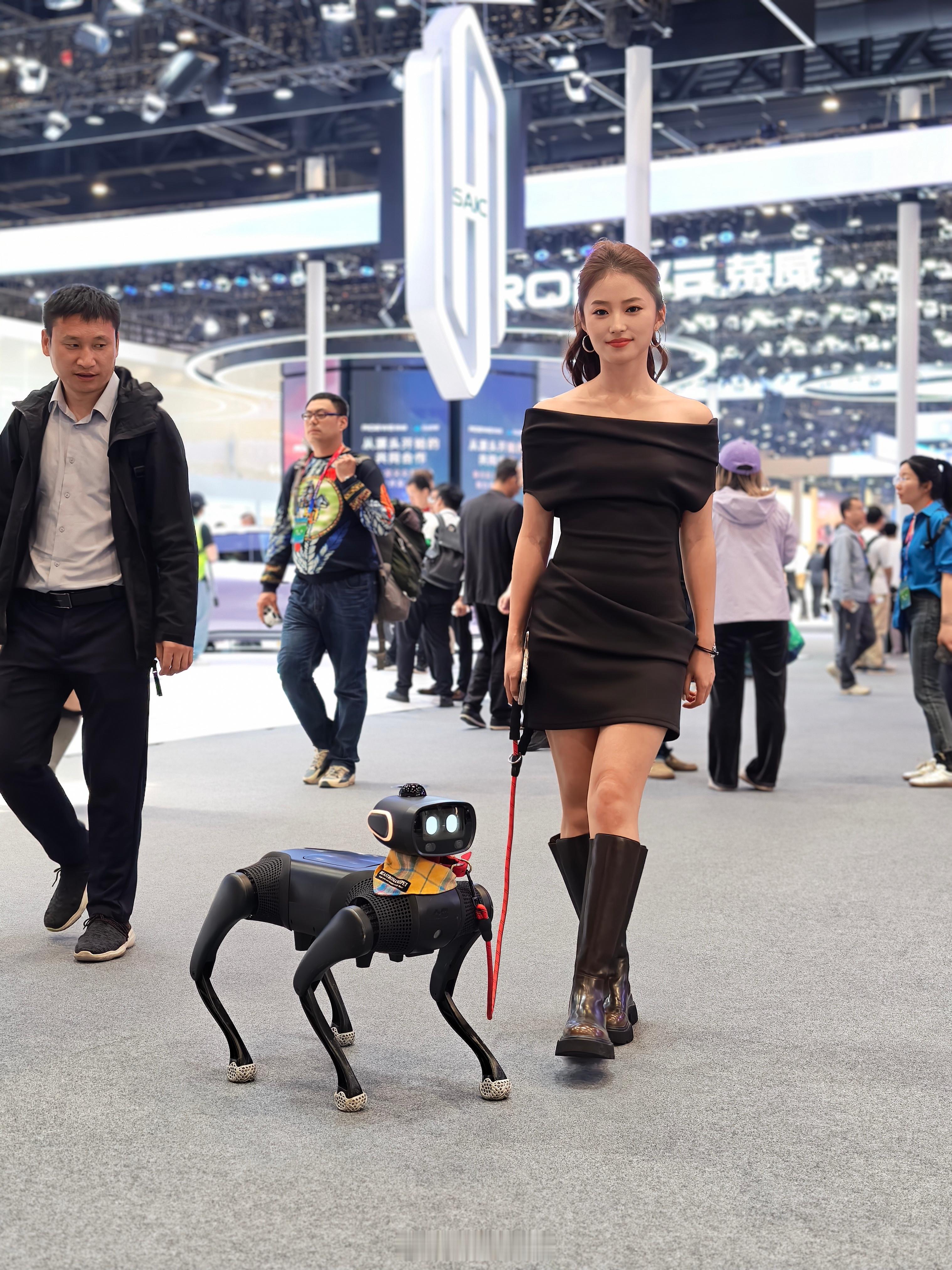 能给我一个最佳训犬师的title吗？原来电子狗也是社交神器啊，今天不知道被路人拍