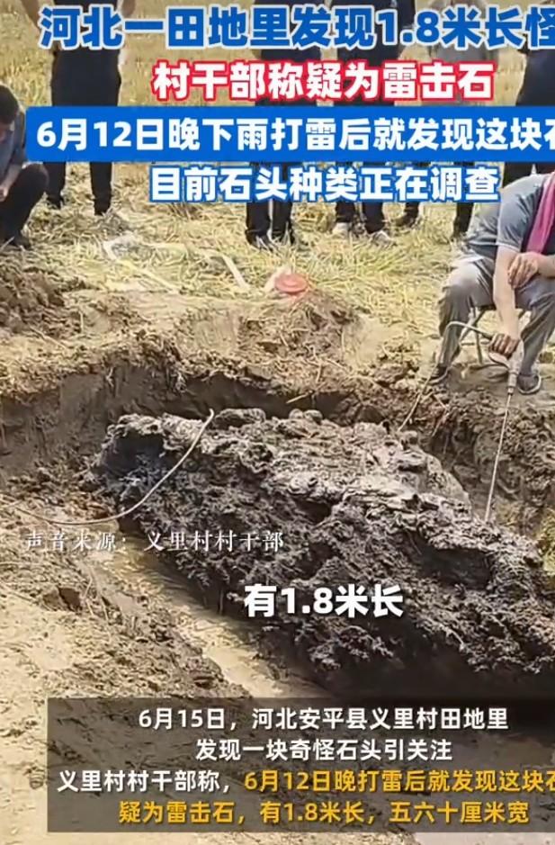 在田地里发现1.8米长的怪石，这可太让人兴奋了！想象一下，农民伯伯在田间劳作，突