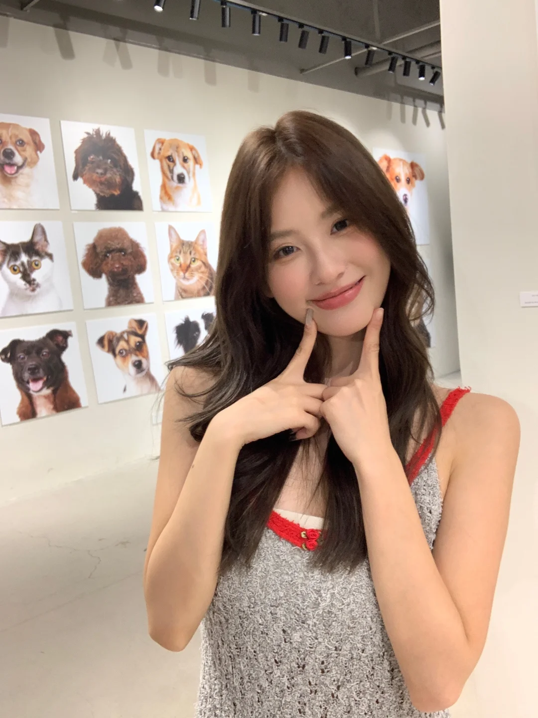 🐶上海citywalk日记