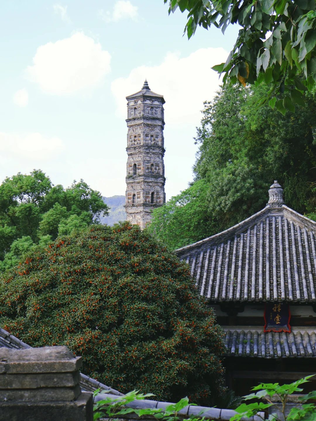 台州🍂满眼都是秋天
