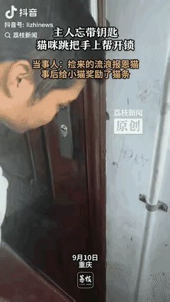 “彻底解释不清了！”重庆，男子出门时忘记拿钥匙了，回来要开门才发现，进不去门，里