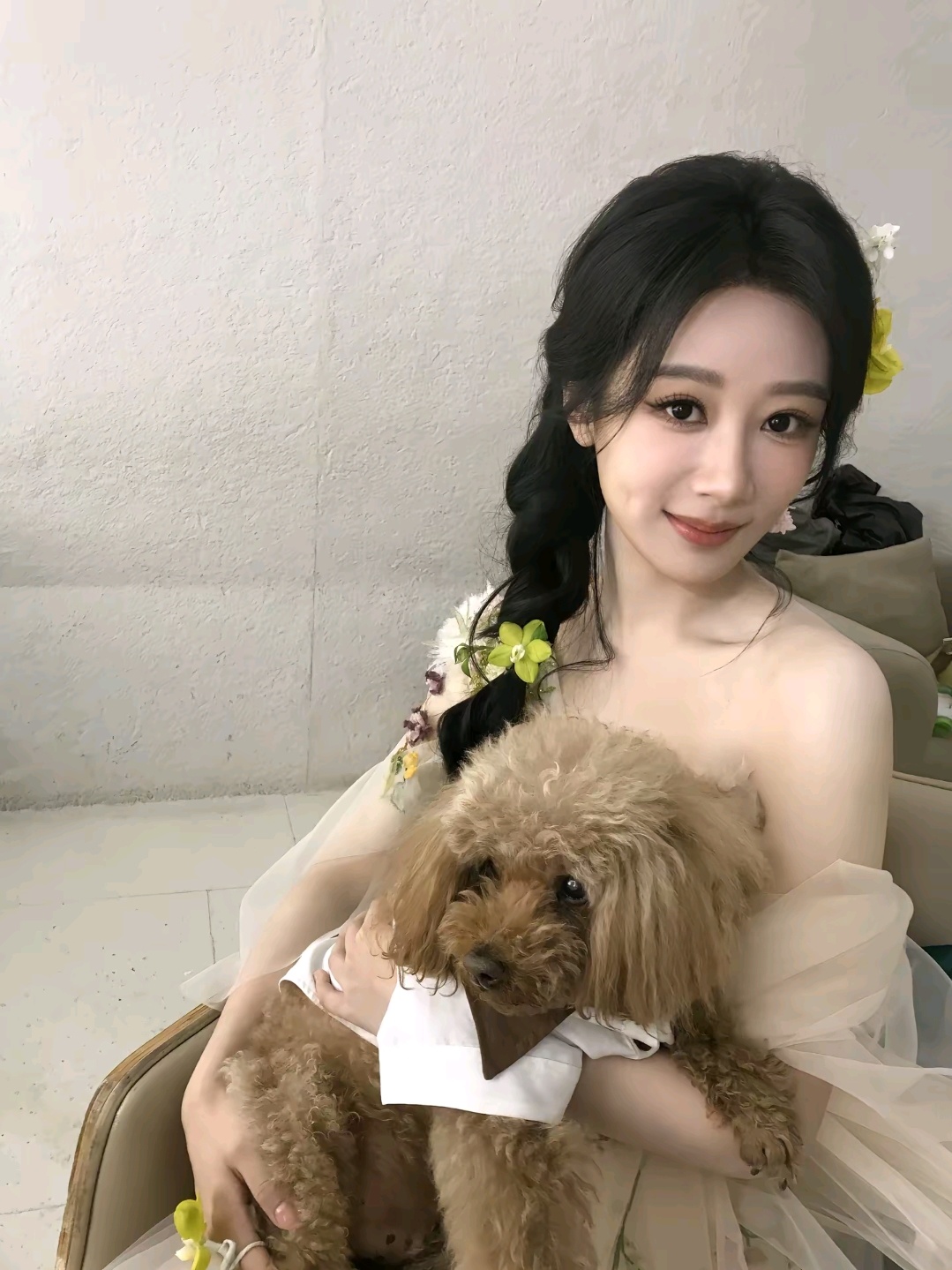 杨紫李祯 yz杨紫家业你是雾是风是酒馆，唯独不是归宿.【杨紫家业 jy 杨紫李祯