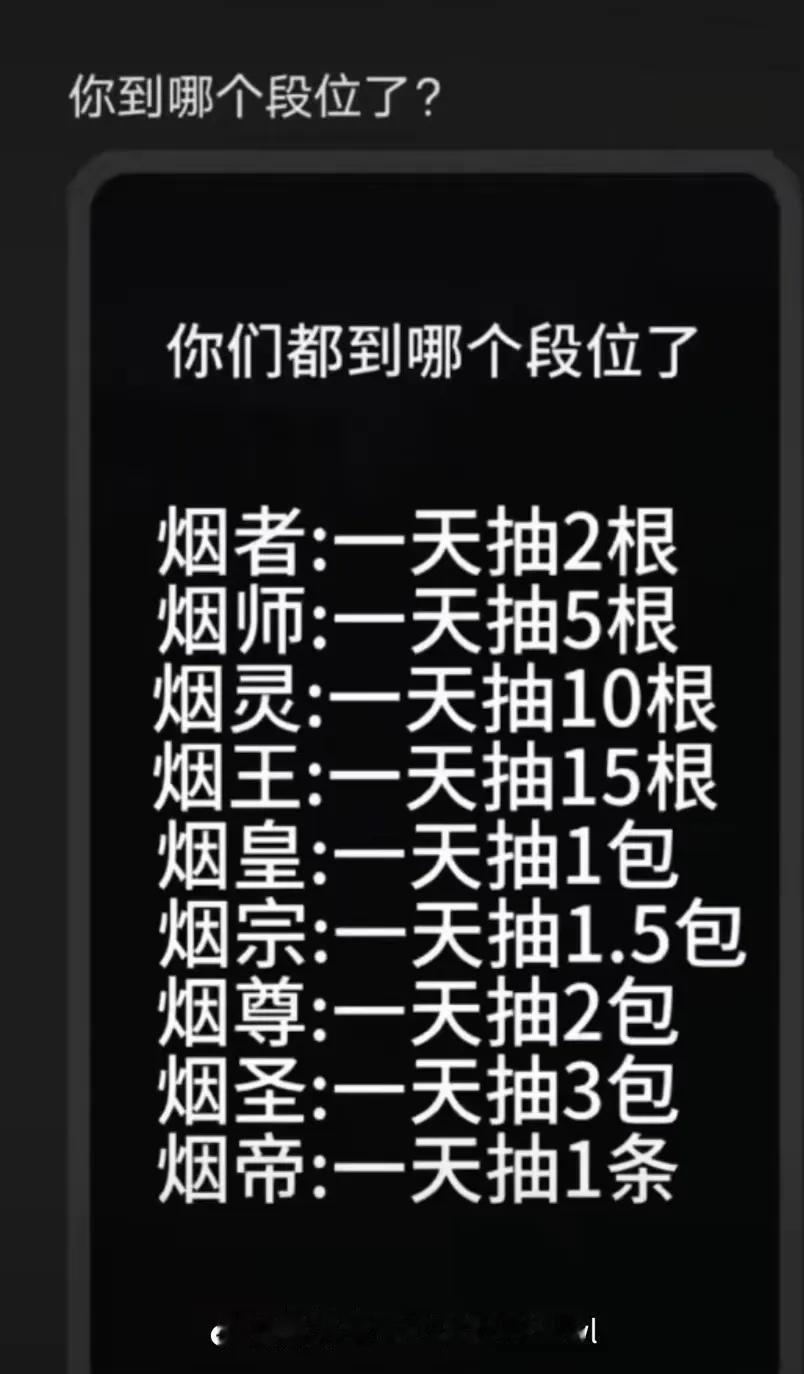 你们是什么段位？