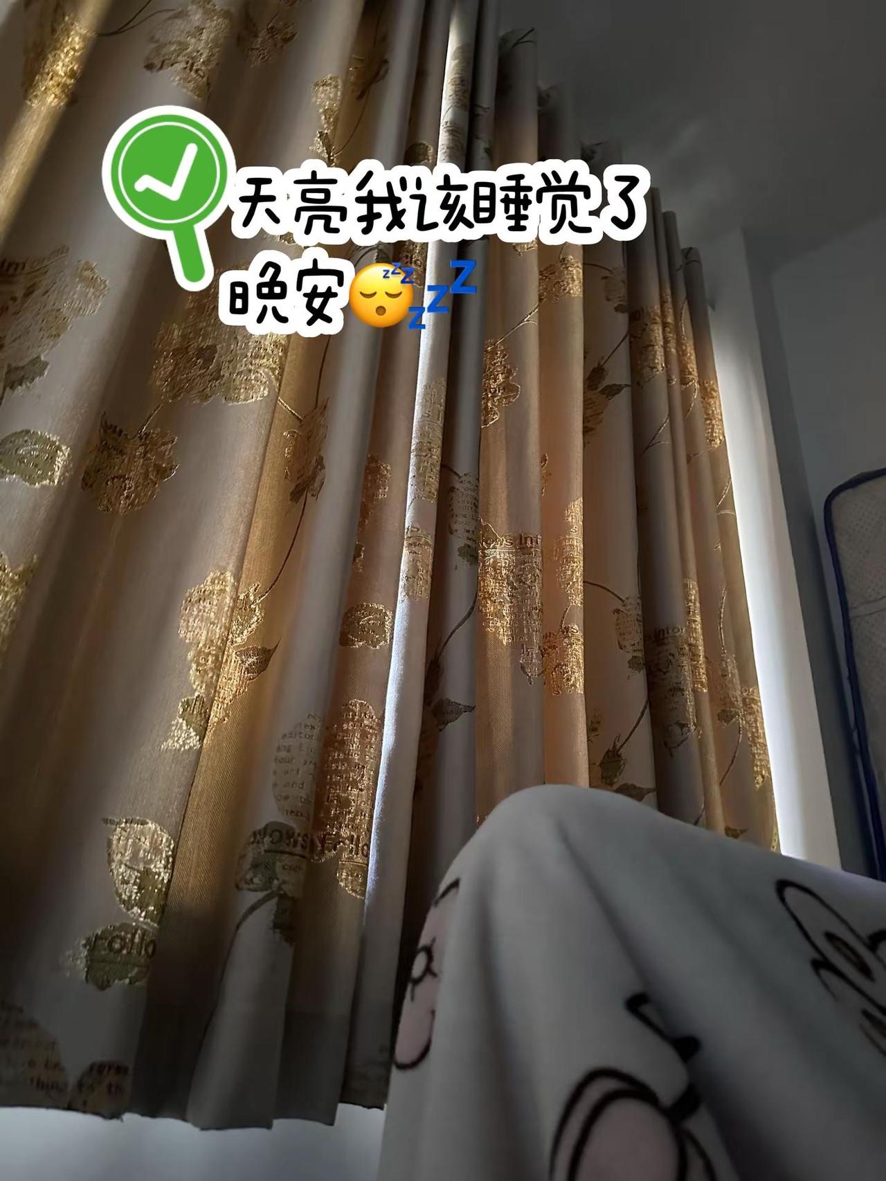 窗帘一拉继续睡 在家平躺的日子