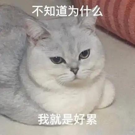 低精力可以去医院查有没有疾病查过了，基本没啥问题，纯粹是懒，不运动，没有气血，刚