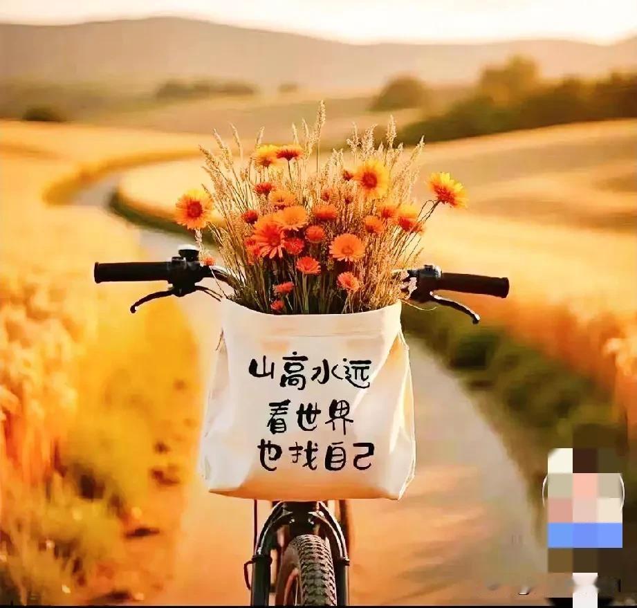 #秋日生活打卡季#
可喜，可怒，可哀，可乐，悲欢之间，便是人生。
可聚，可散，可