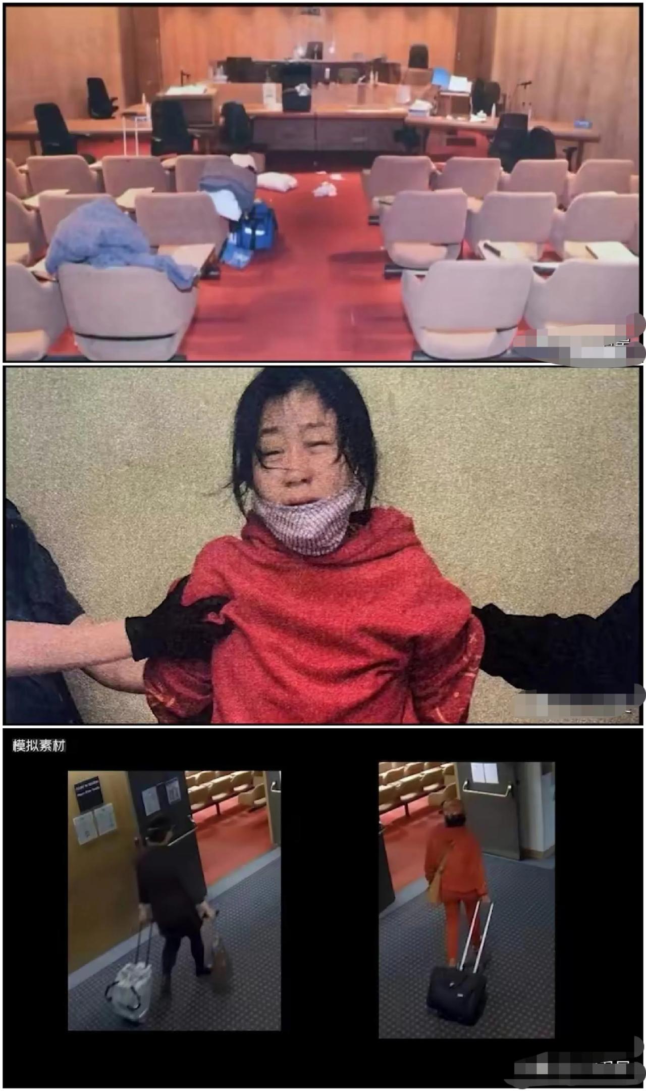 难以置信！华裔大妈网络骂战持续16年，最终竟在加拿大法庭上演真实版“血战到底”！