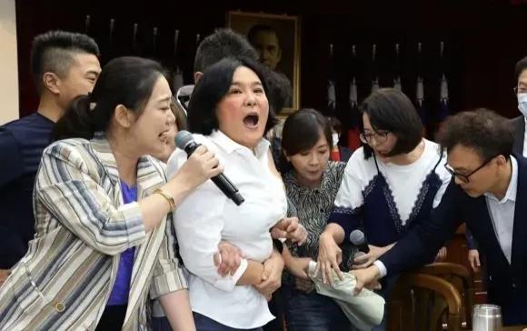 黄珊珊罕见支持蓝营，大骂绿营“行为无耻”，这就是最近岛内“立院”因为材财划案上演