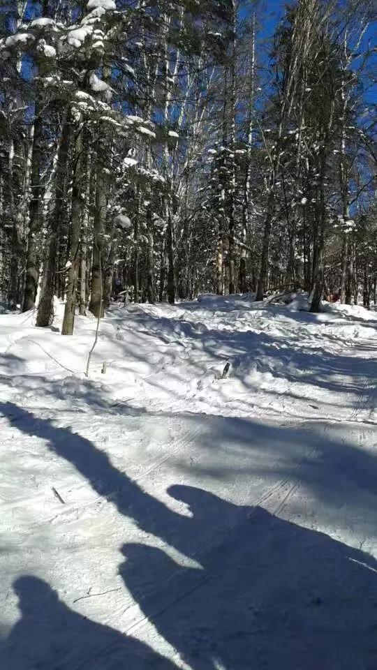 冬至

冬至阳生初春近，  
寒梅傲雪初绽放。  
长夜漫漫盼晨来，  
梦绕魂