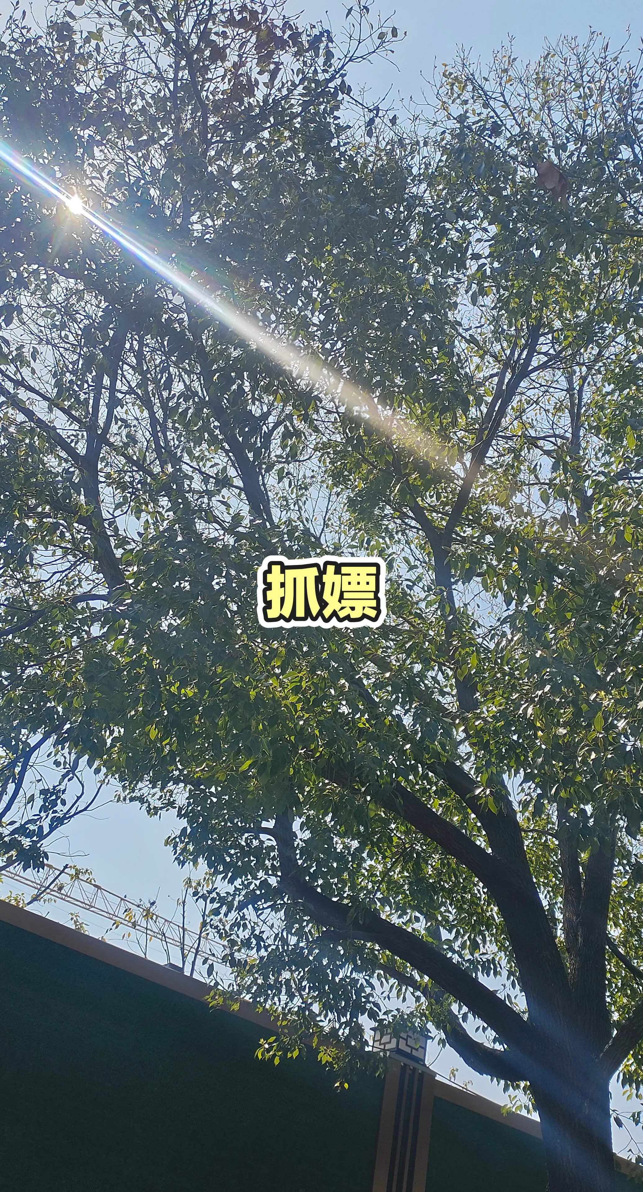 分享