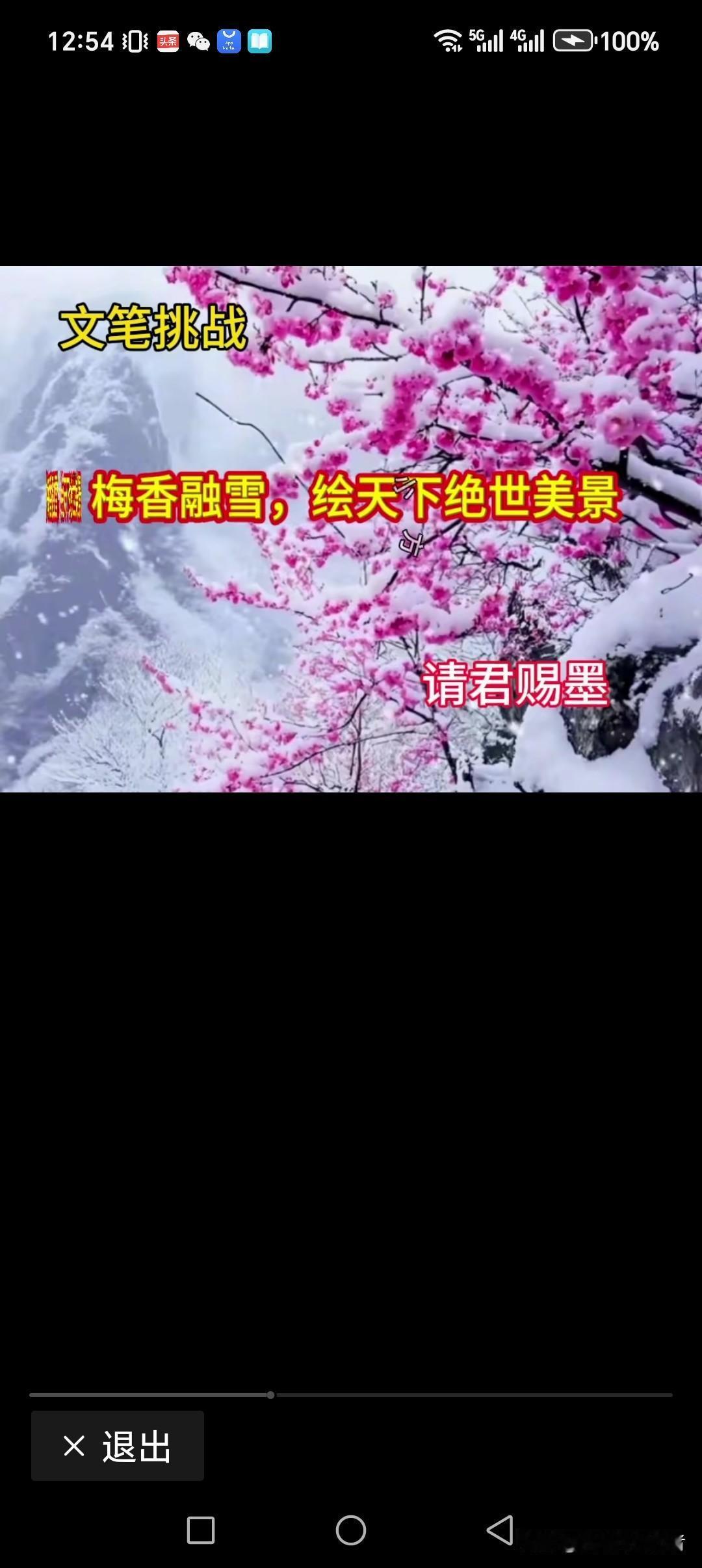 梅香融雪，绘天下绝世美景
松挺寒风，描盖世一绝佳画