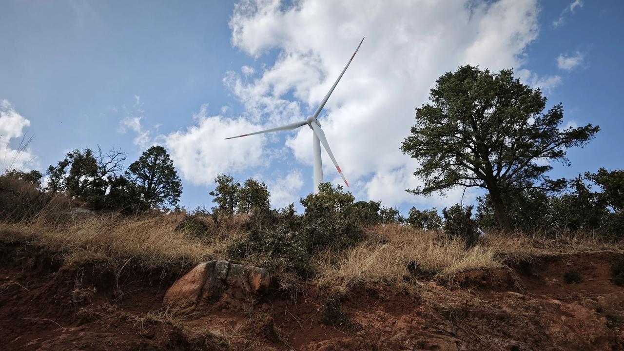 手机随手拍原创图片风掠过红土山岗，把时光吹成风车的弧度。树影与云絮在蓝天上漫走，