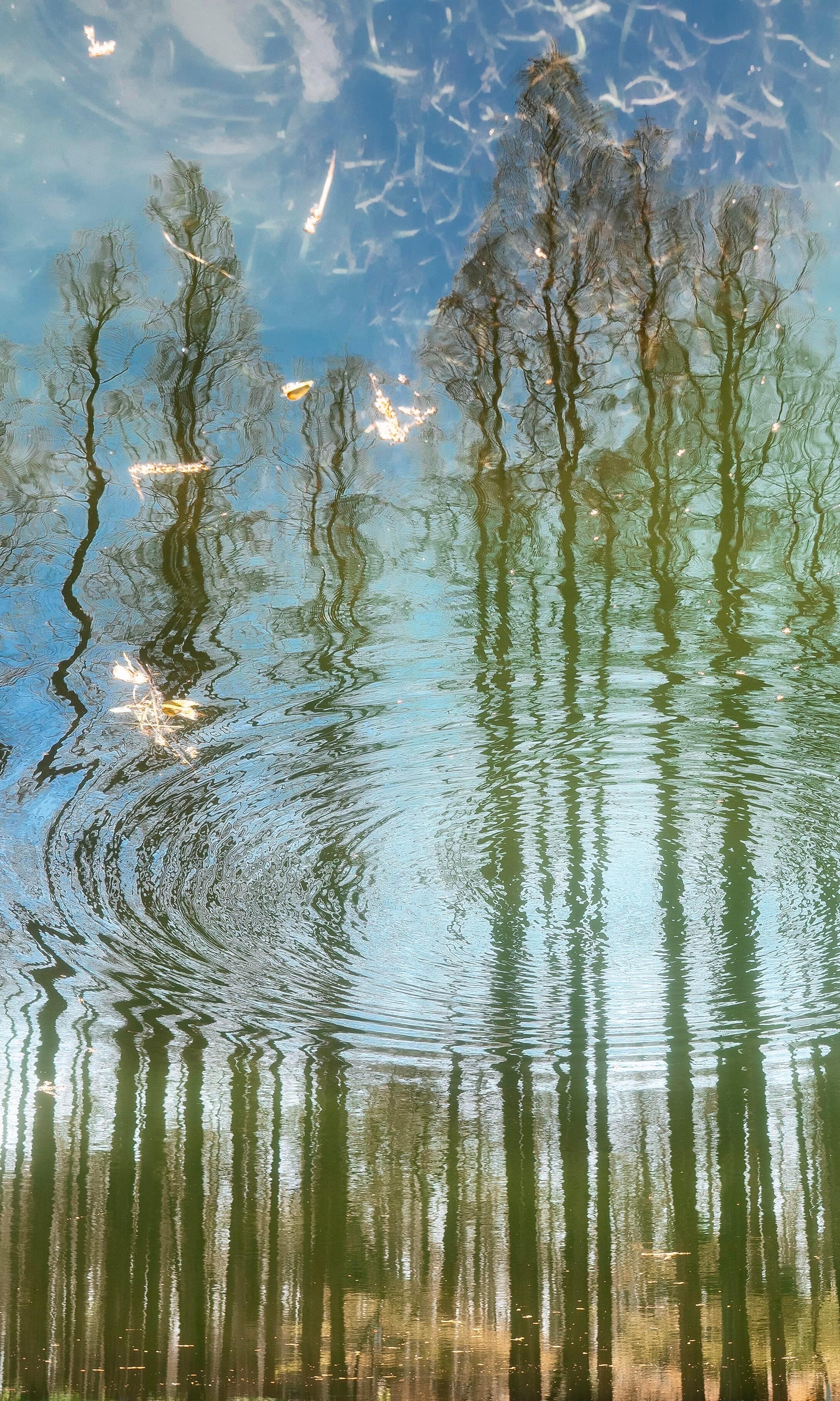 “倒影是梦境的具象化。”湖水中藏着一片镜像世界 