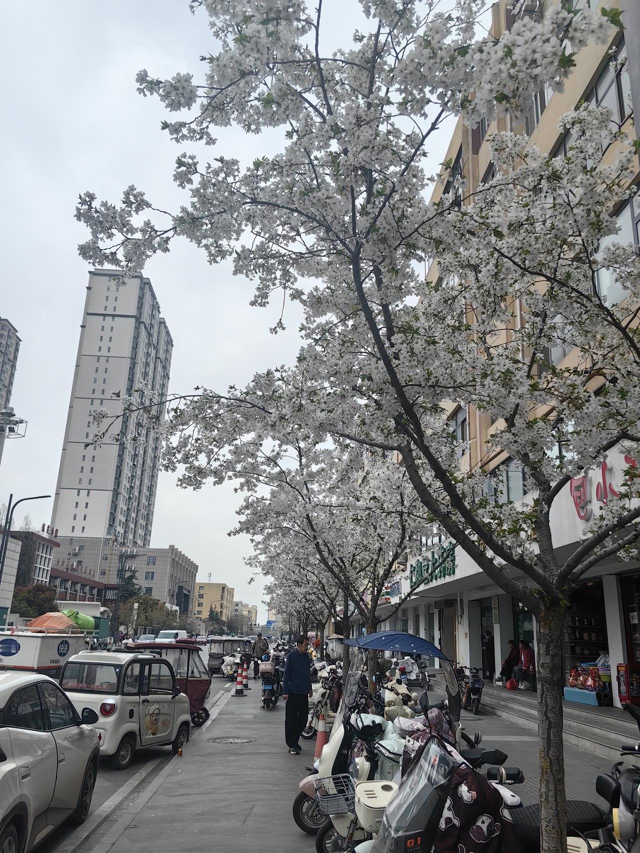 人生不过短短几十年，意义从来不在一个标准答案里，而在我们自己选择的活法里。
 