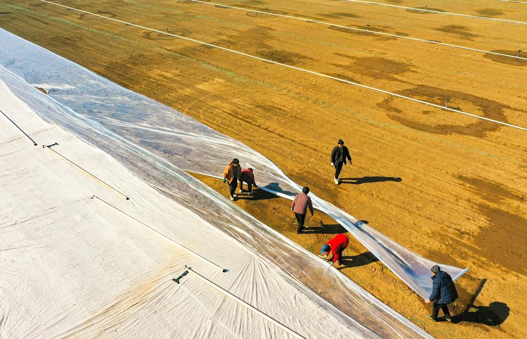 以下是2025年11月19日的国内外部分重要新闻：
 
国内
 
1. 第二次青