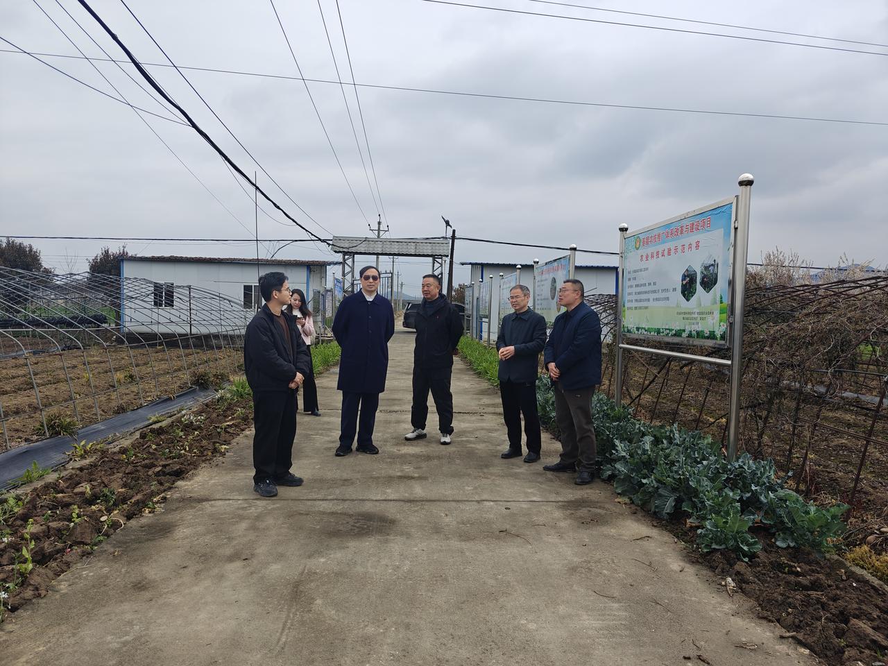 博士团新春走出十堰，
襄阳竟然也有个老君山！
这里藏着一流的黄精种苗基地……
