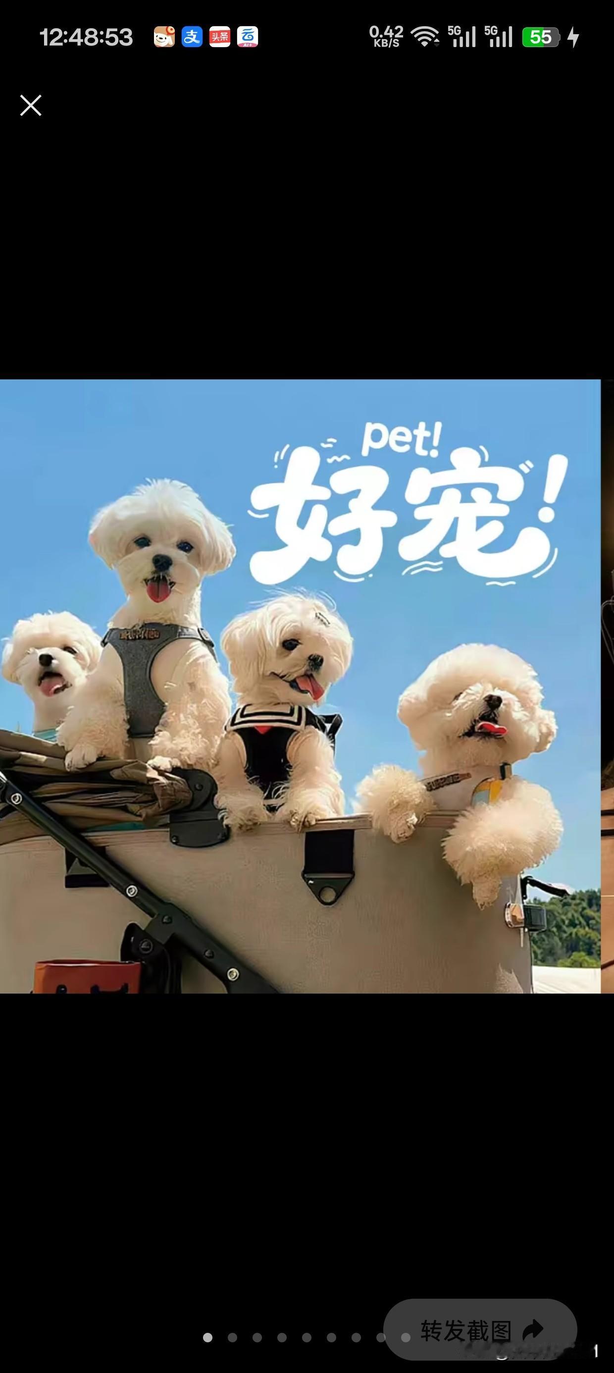 日本的政治和经济现状如何别人的家事，不打听，不评价，默默关注即可。