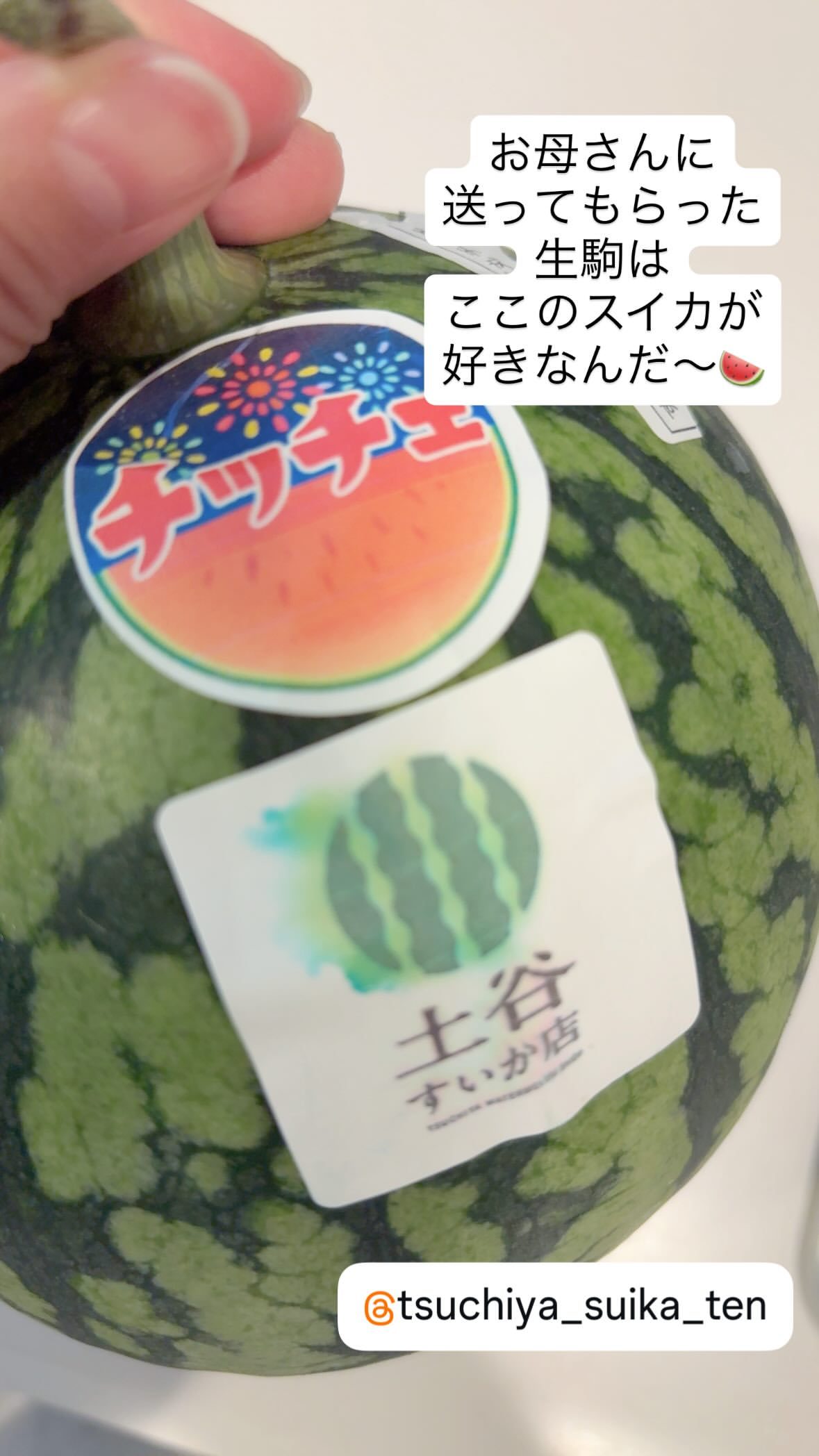 生駒ちゃん🍉 ​​​