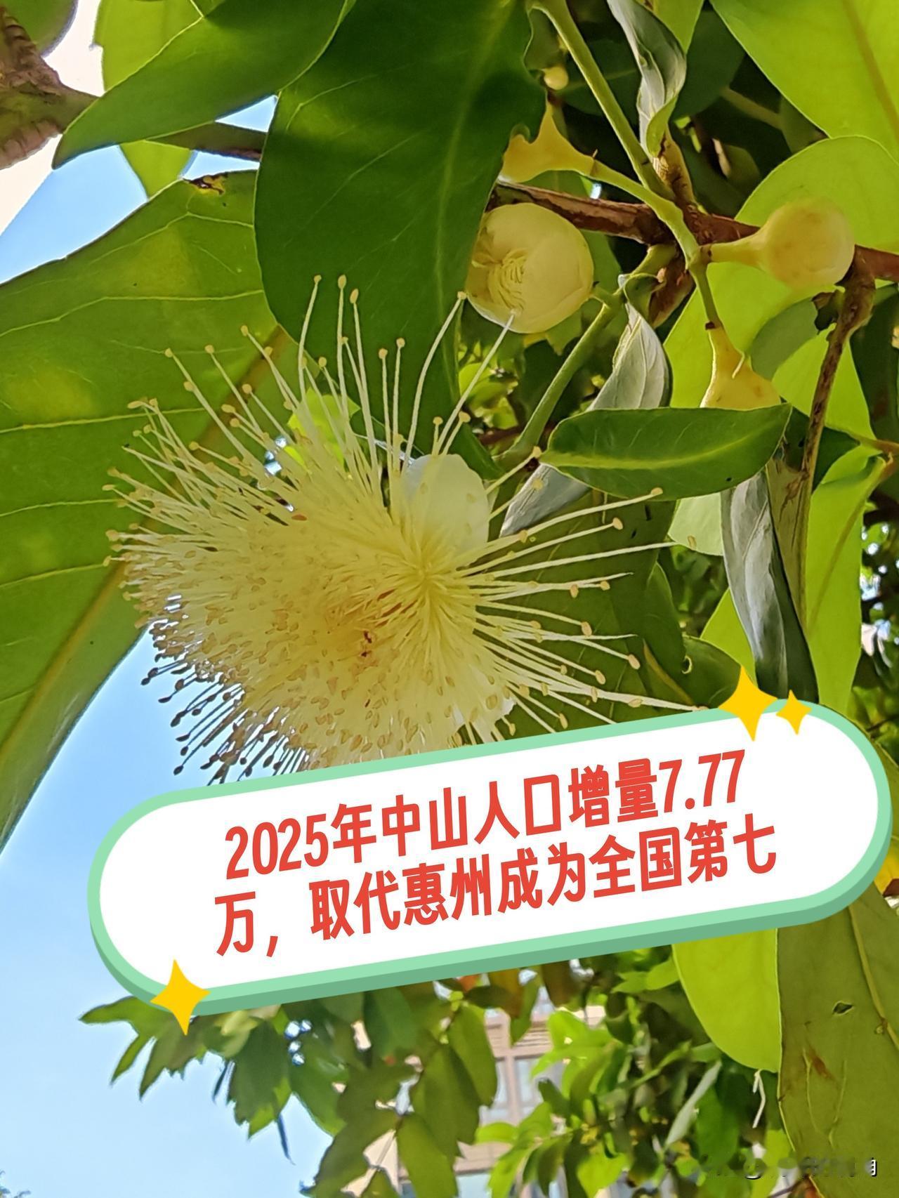 最新消息：2025年，中山市常住人口增量达7.77万人，位居全国第七！此前排行榜