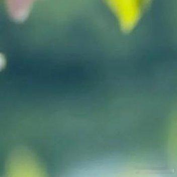 喜欢这个阳光正好的日子，穿过玻璃的阳光能给人明亮的感觉。空气是清澈的，夹杂着咸咸