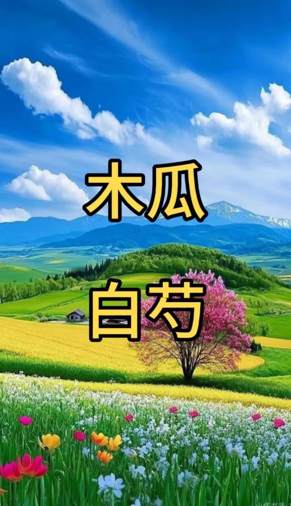 上海体育局回应刘翔，买断争议后，刘翔发文当教练或买断二选一让我迷茫，没有第三条路