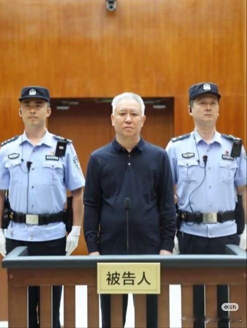 判刑了，无期。