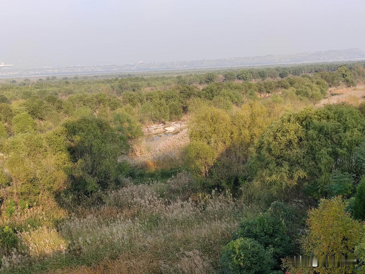 #秋日随拍#
       暮秋时节，渭河与黄河的交汇处，展现出一幅别样的河滩景