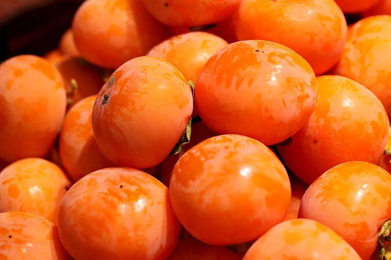 吃柿子，竟堵到要开刀！
 
朋友们！千万别再把柿子当“随便炫”的水果了！刚刷到个