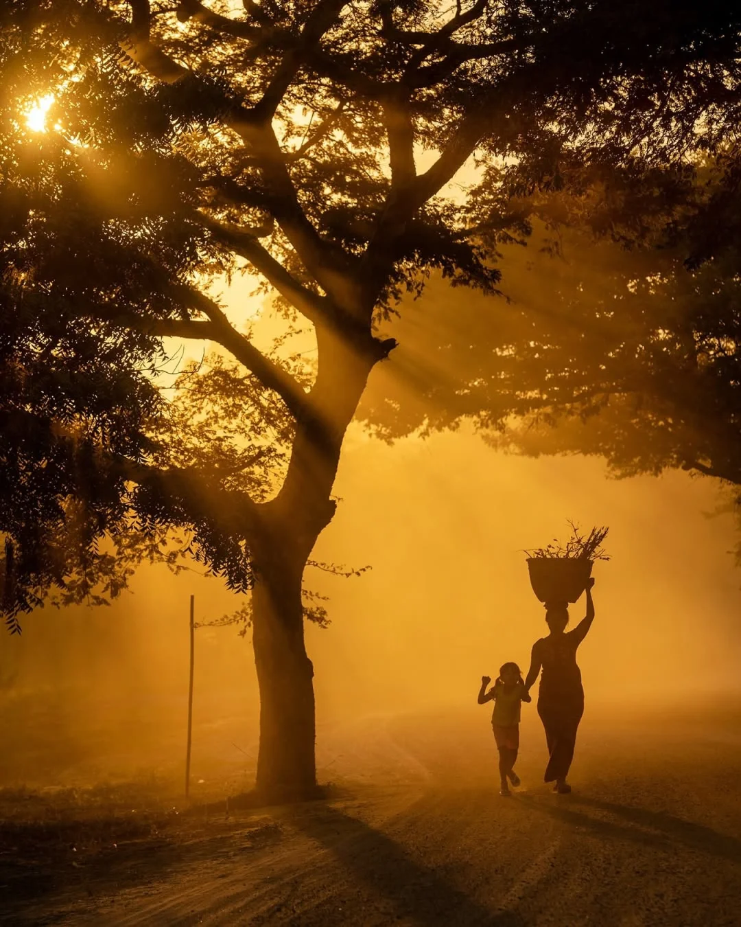 【摄影审美提升】Nomadict摄影作品拆解