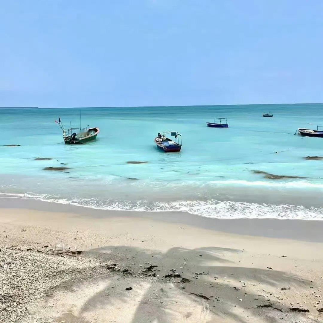 每日一善🌴阳光信用 每日‬一善  激励自己的不是心灵鸡汤励志语录，而是那些比自