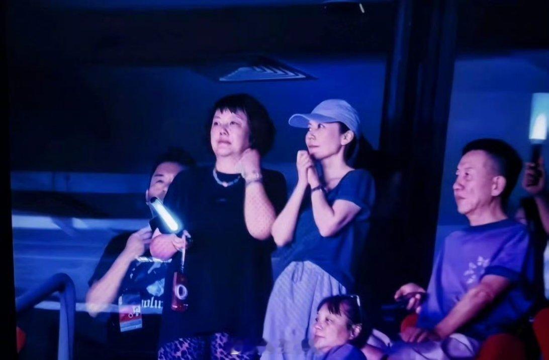 哇哦哦，王菲去看谢霆锋的鸟巢演唱会了，两位真的是甜甜蜜蜜啊，黄昏恋的含金量看来是
