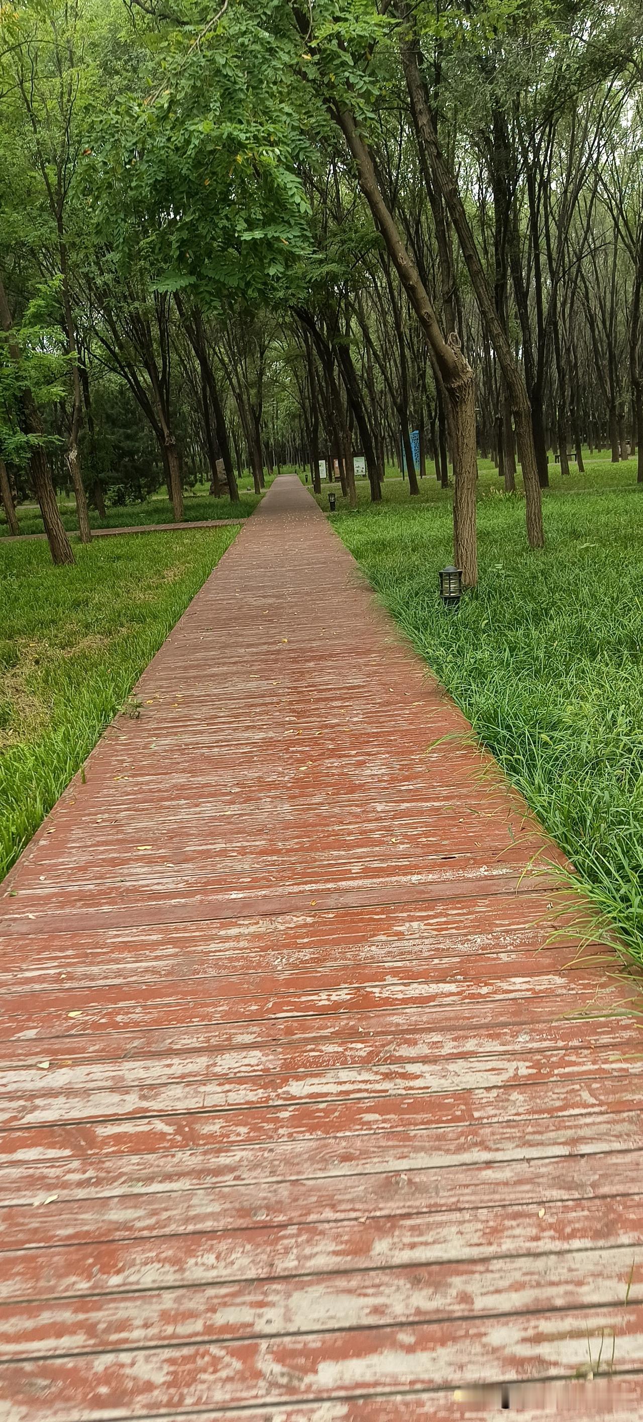 前两天北京暑热难耐，几乎没有出门，这两天一下子就凉快了，早晚秋意浓浓。
今天去逛