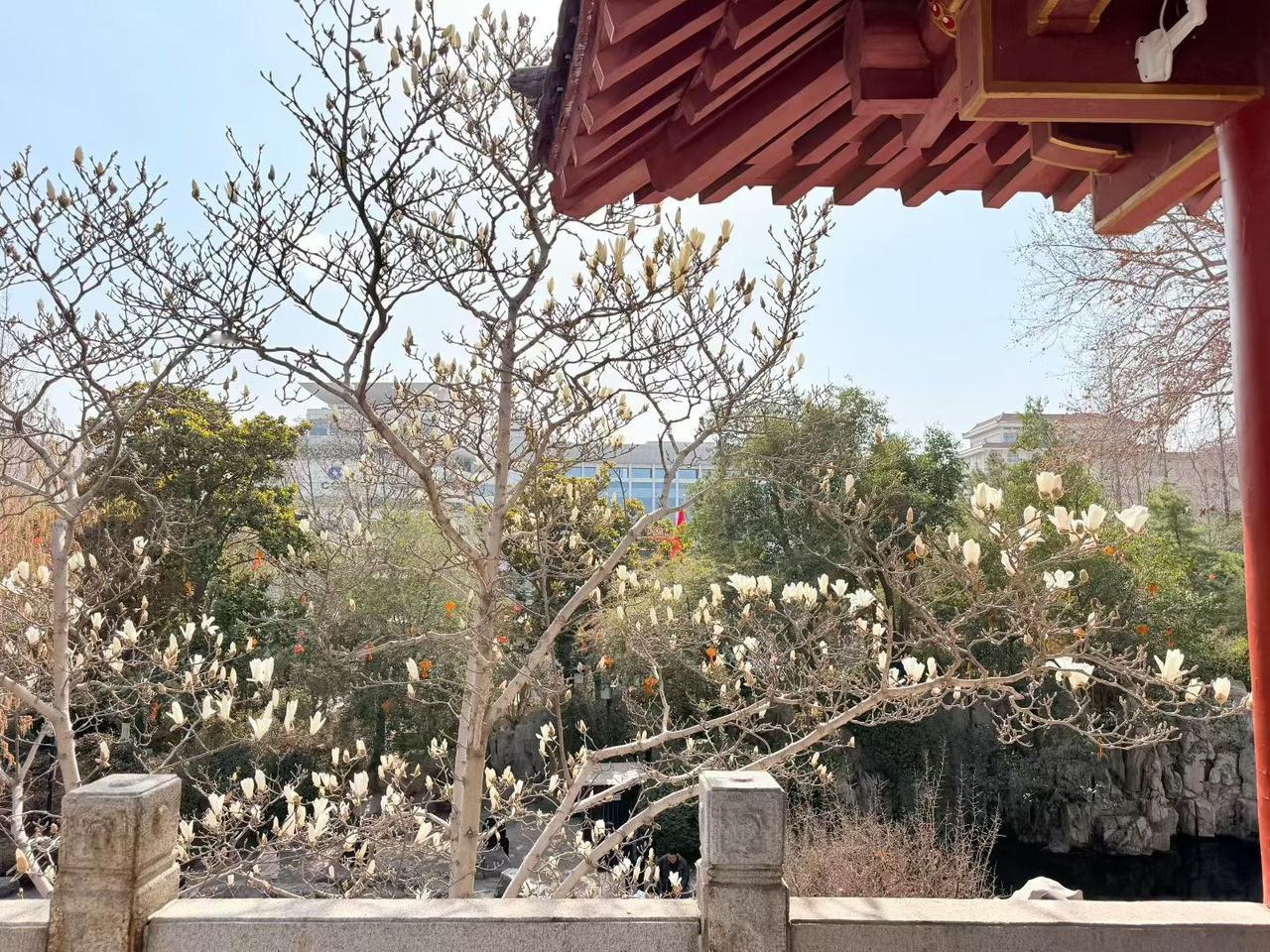 天南地北大拜年