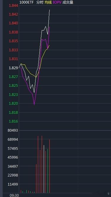 某队今天开盘买入中证1000etf，中小盘走强，所以今天对大部分人来说，应该比较