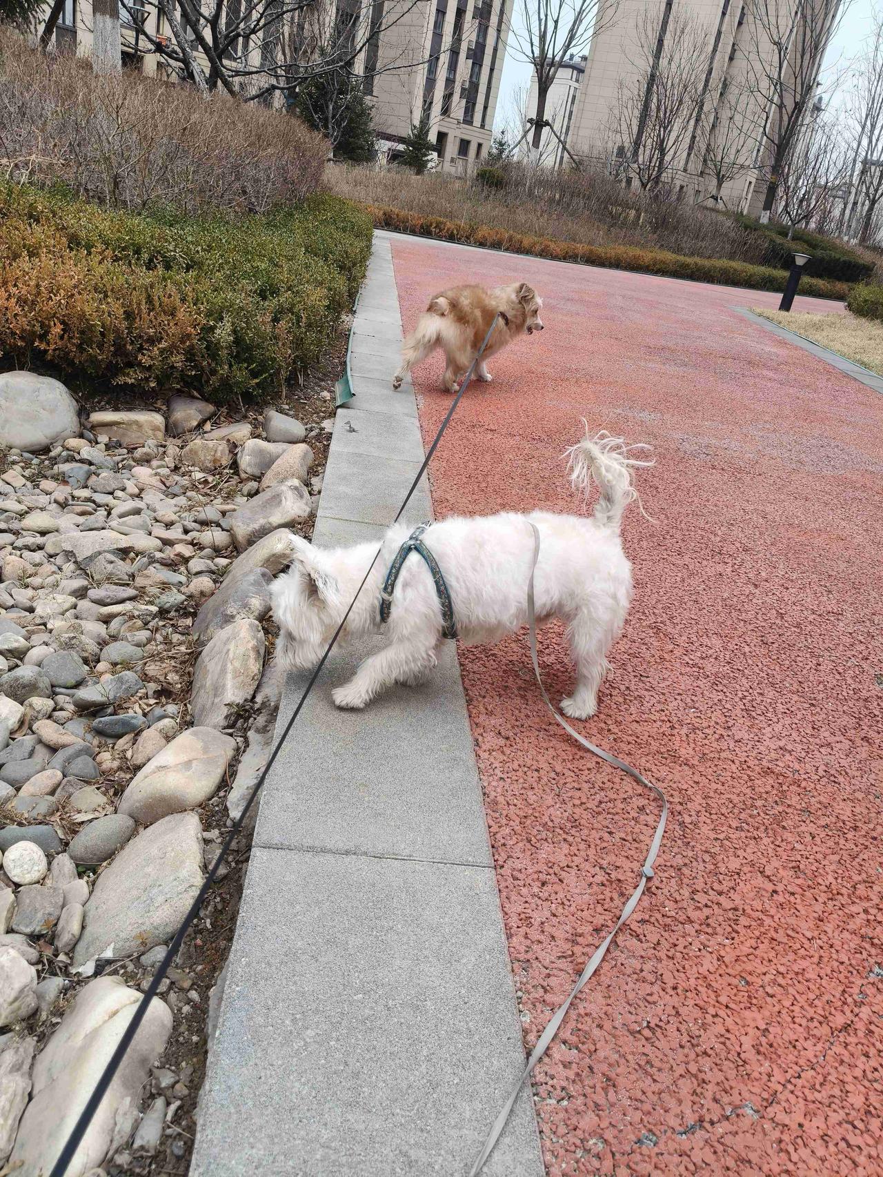 我的今日状态：😁轻松愉快
我这里的天气：☀️晴天