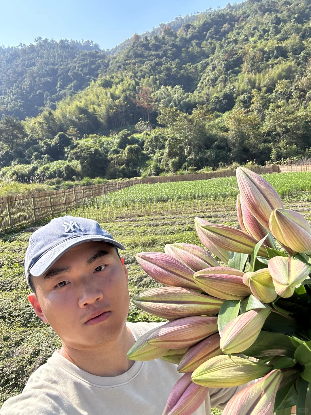 好爱我的花果山