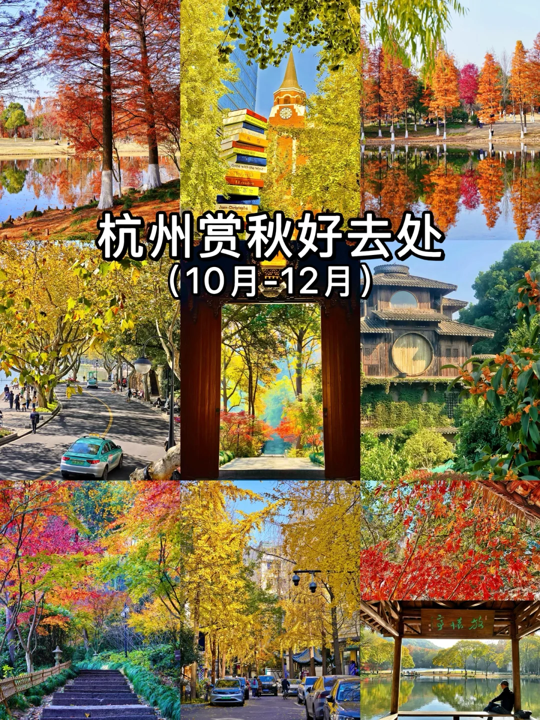 杭州入秋！接下来的杭州美到next level❗️