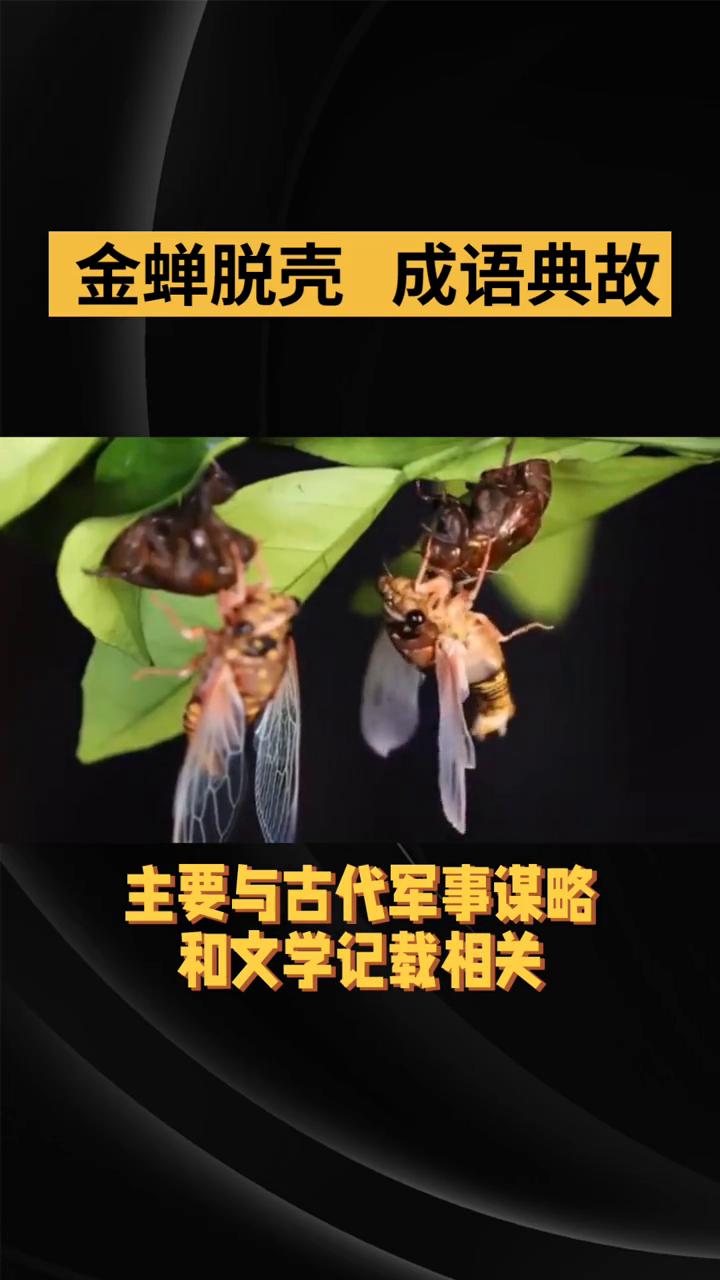 金蝉脱壳成语典故。
金蝉脱壳的典故主要与古代军事谋略和文学记载相关。其核心典故有