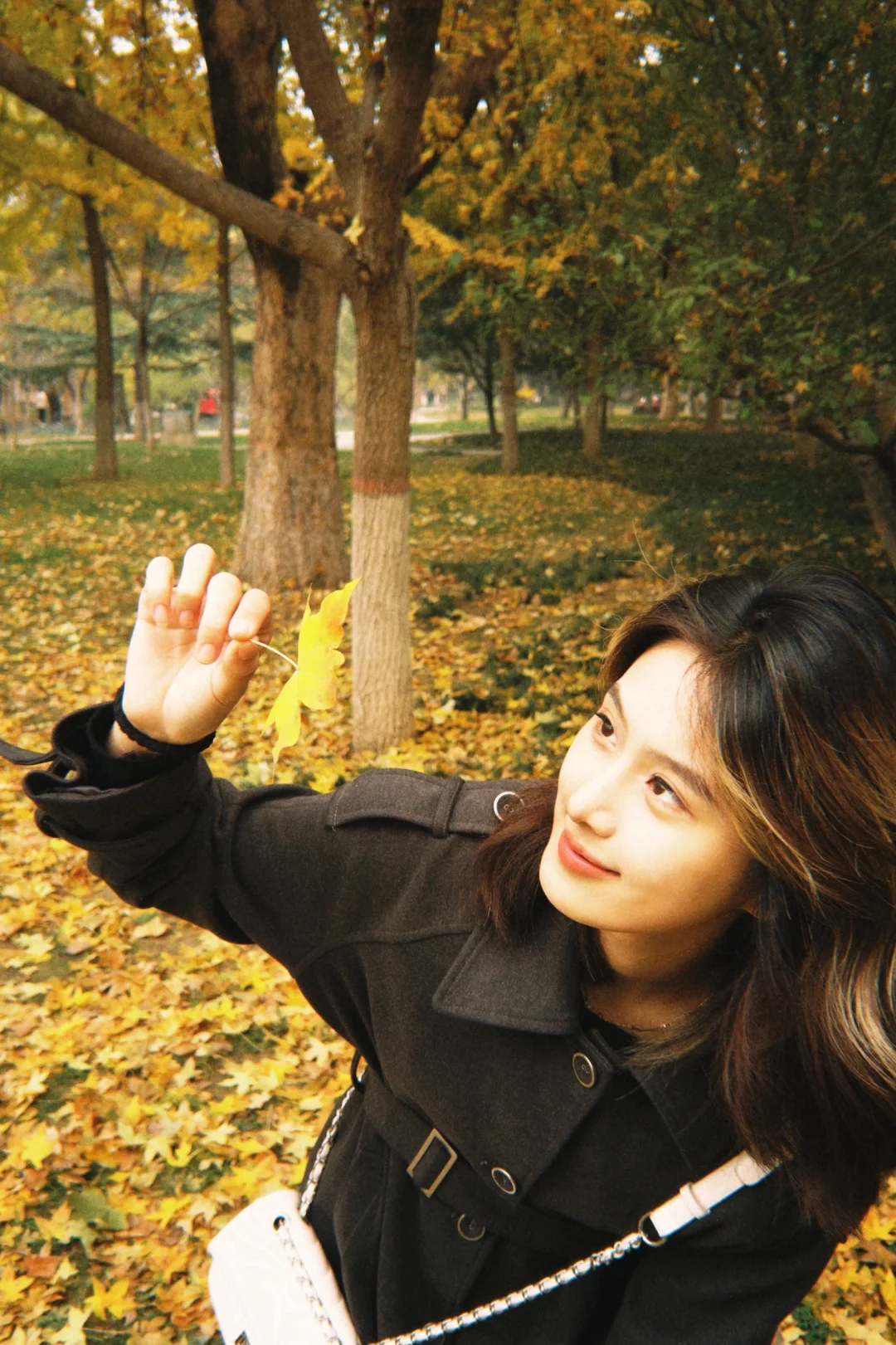 好像拍到了秋天