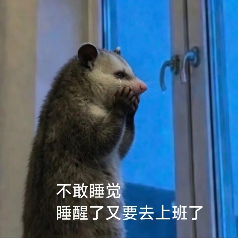 晚上舍不得闭眼，早上舍不得睁眼当代打工人的双重煎熬