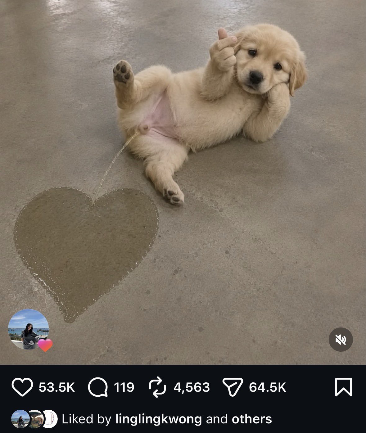 邝玲她哈哈哈哈哈哈哈 
